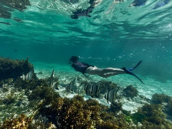 Club Med Les Boucaniers - Martinique