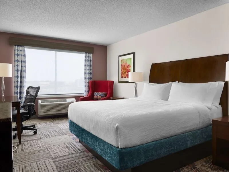 Hilton Garden Inn Denver South Park Meadows Area